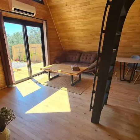 Vakantiehuis Ugni Blanc Uzum Baglari Ve Zeytinlikler Icinde Mini Bir Cennet Ve Tiny House Konseptli Havuzlu Ucgen Ev - крошечный дом - скрытый рай